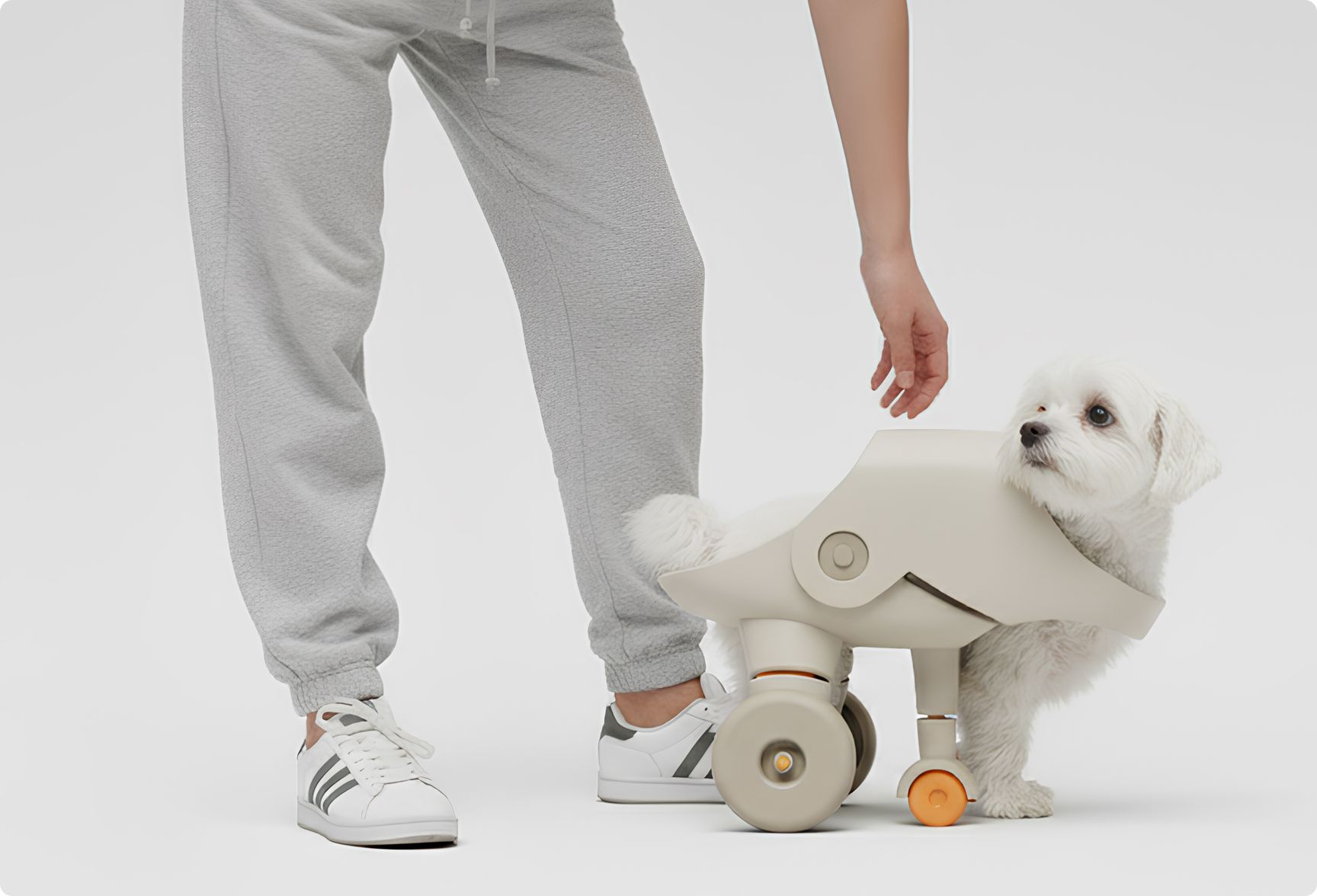 Animal Artificial Leg