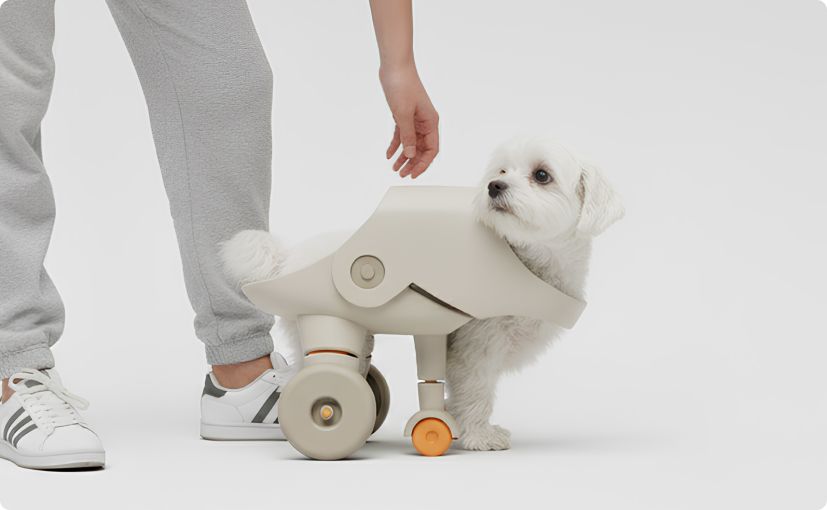 Animal Artificial Leg