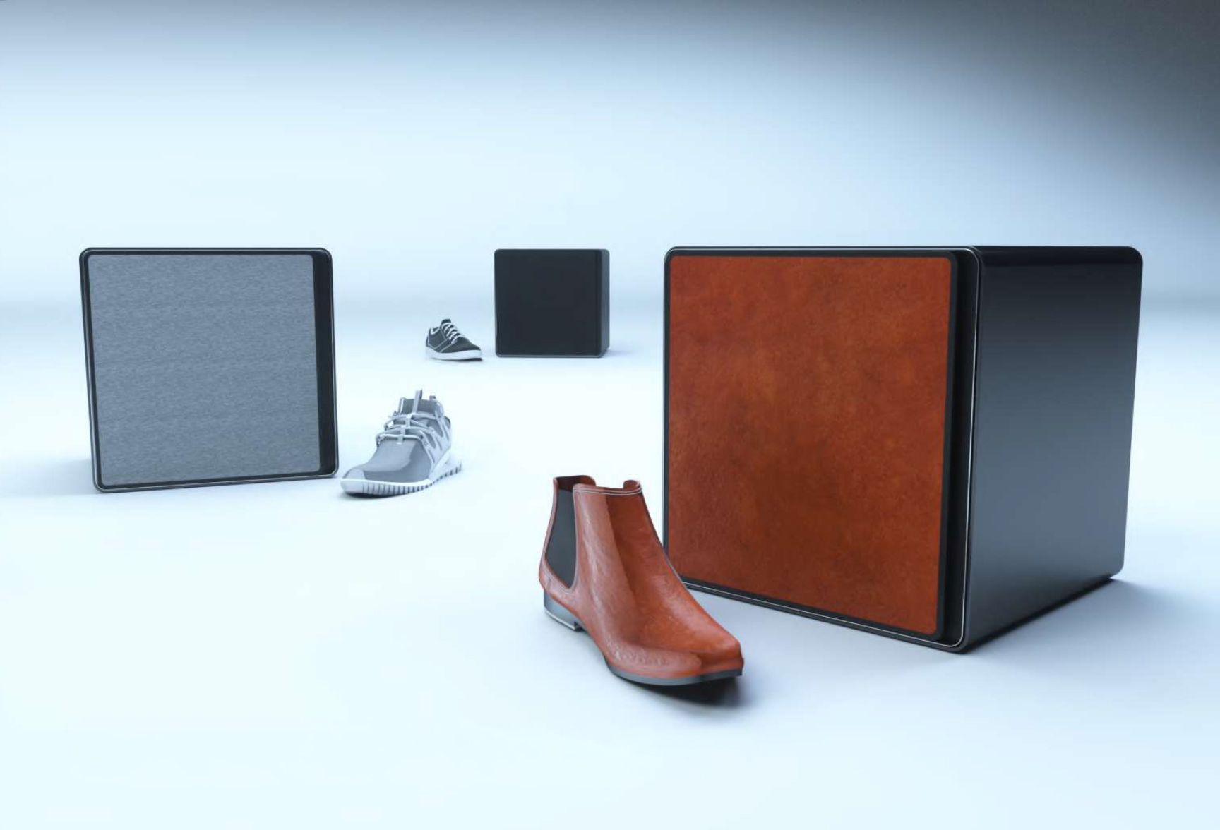 Shoes Laundry machine